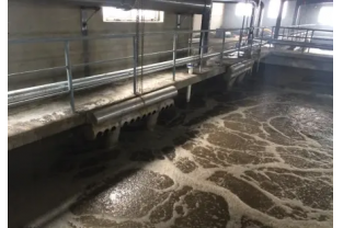 食品工業(yè)廢水的來源、特點(diǎn)及危害