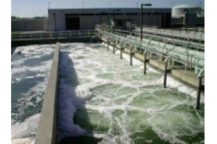 污泥活性不夠？